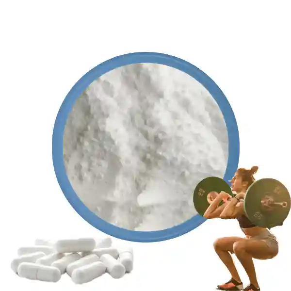 Creatine Monohydrate Powder